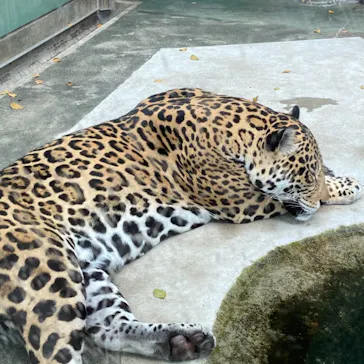 天王寺動物園に投稿された画像（2021/4/3）