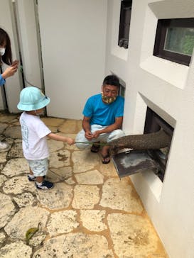 沖縄こどもの国に投稿された画像（2021/4/3）