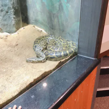 天王寺動物園に投稿された画像（2021/4/3）