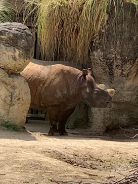 天王寺動物園に投稿された画像（2021/4/3）
