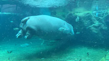 天王寺動物園に投稿された画像（2021/4/3）