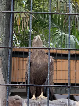天王寺動物園に投稿された画像（2021/4/3）