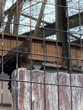天王寺動物園に投稿された画像（2021/4/3）