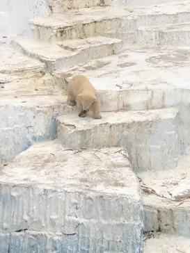 天王寺動物園に投稿された画像（2021/4/3）