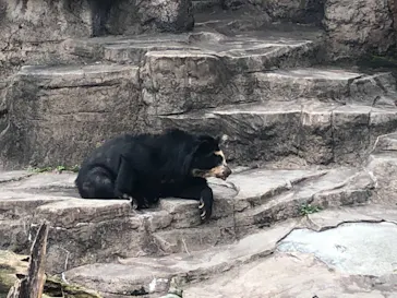 天王寺動物園に投稿された画像（2021/4/3）