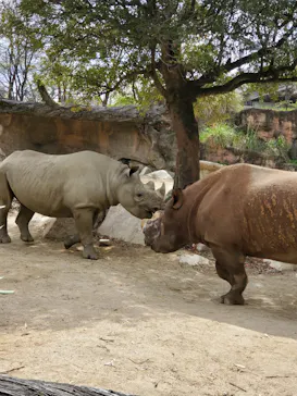 天王寺動物園に投稿された画像（2021/4/3）