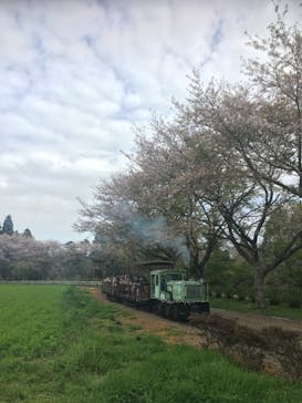 成田ゆめ牧場に投稿された画像（2021/4/3）