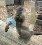 横浜・八景島シーパラダイスに投稿された画像（2021/4/3）