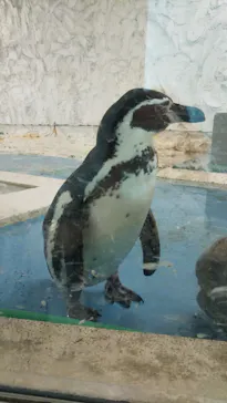 天王寺動物園に投稿された画像（2021/4/3）