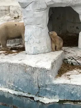 天王寺動物園に投稿された画像（2021/4/3）