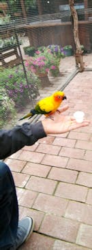 富士花鳥園に投稿された画像（2021/4/3）