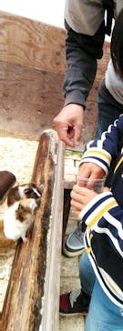 富士花鳥園に投稿された画像（2021/4/3）