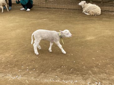 成田ゆめ牧場に投稿された画像（2021/4/3）