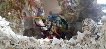 鳥羽水族館に投稿された画像（2021/4/3）