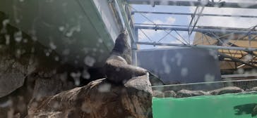 鳥羽水族館に投稿された画像（2021/4/3）