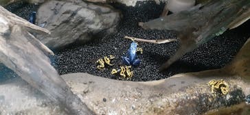 鳥羽水族館に投稿された画像（2021/4/3）