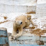天王寺動物園に投稿された画像（2021/4/3）