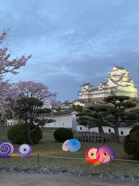 姫路城（イベント）に投稿された画像（2021/4/3）