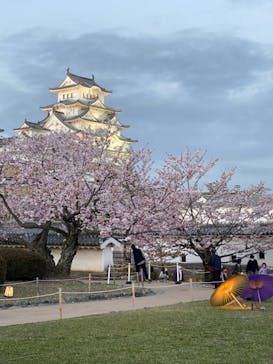 姫路城（イベント）に投稿された画像（2021/4/3）