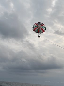 Sea World（シーワールド）に投稿された画像（2021/4/3）