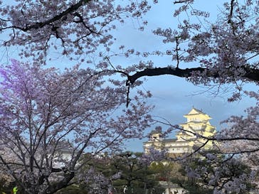 姫路城（イベント）に投稿された画像（2021/4/3）