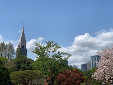 新宿御苑に投稿された画像（2021/4/3）