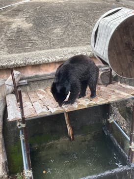 九十九島動植物園森きららに投稿された画像（2021/4/3）