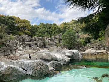 よこはま動物園ズーラシアに投稿された画像（2021/4/3）