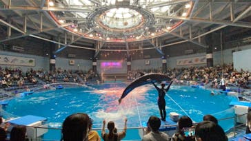 マクセル アクアパーク品川に投稿された画像（2021/4/3）