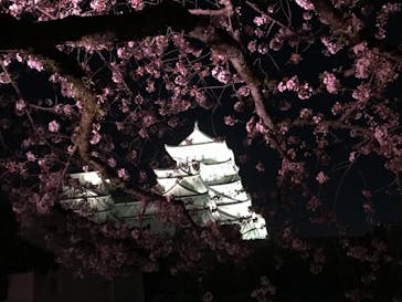 姫路城（イベント）に投稿された画像（2021/4/3）