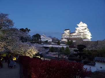 姫路城（イベント）に投稿された画像（2021/4/3）