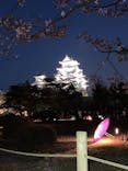 姫路城（イベント）に投稿された画像（2021/4/3）
