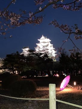 姫路城（イベント）に投稿された画像（2021/4/3）