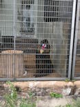 天王寺動物園に投稿された画像（2021/4/3）