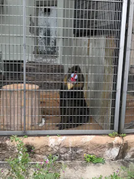 天王寺動物園に投稿された画像（2021/4/3）