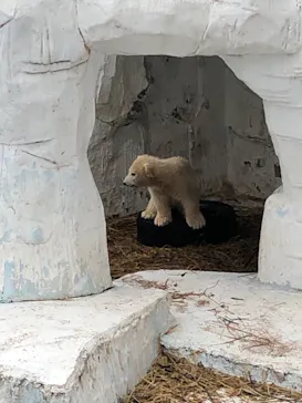 天王寺動物園に投稿された画像（2021/4/3）