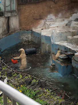 天王寺動物園に投稿された画像（2021/4/3）