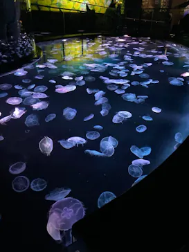 すみだ水族館に投稿された画像（2021/4/3）