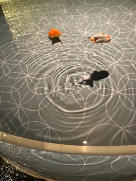 すみだ水族館に投稿された画像（2021/4/3）