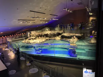 すみだ水族館に投稿された画像（2021/4/3）