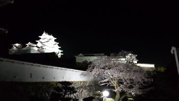 姫路城（イベント）に投稿された画像（2021/4/3）