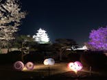 姫路城（イベント）に投稿された画像（2021/4/3）