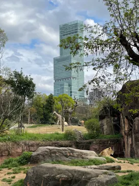 天王寺動物園に投稿された画像（2021/4/3）