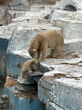 天王寺動物園に投稿された画像（2021/4/3）