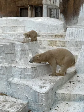 天王寺動物園に投稿された画像（2021/4/3）