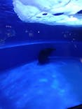 サンシャイン水族館に投稿された画像（2021/4/3）