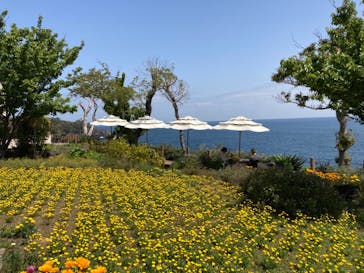 ニューヨークランプミュージアム＆フラワーガーデンに投稿された画像（2021/4/3）