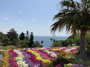 ニューヨークランプミュージアム＆フラワーガーデンに投稿された画像（2021/4/3）