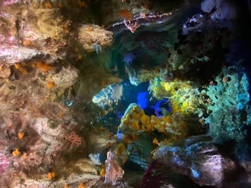 サンシャイン水族館に投稿された画像（2021/4/3）