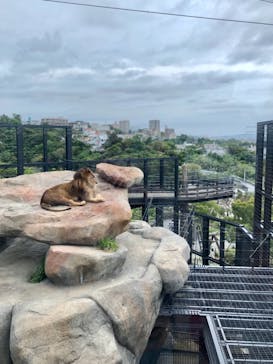 沖縄こどもの国に投稿された画像（2021/4/3）